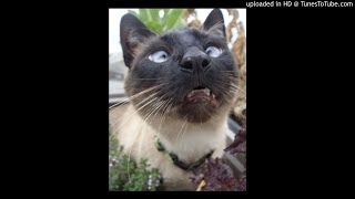 Buckethead-Flight 19