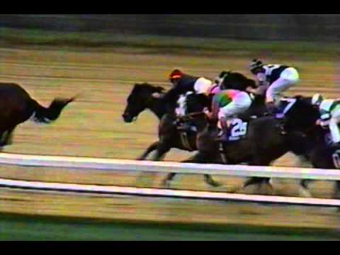 Personal Ensign - 1988 Breeders' Cup Distaff + Post Race & Interviews