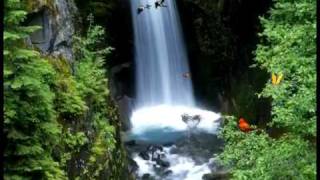 Majestuoso Poderoso - Marcos Witt