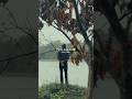 Tute Sapne Bikhre Armaan Kya Hua Hasil Status Broken Heart Sad Song Status Video Shorts Sadsong