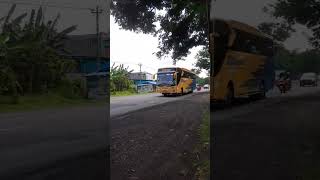 Download lagu SINGLE GLASS!!BUS EFISIENSI JOGJA-AJIBARANG SG REBORN ADI PUTRO#bismania#viral#subscribe#shorts mp3