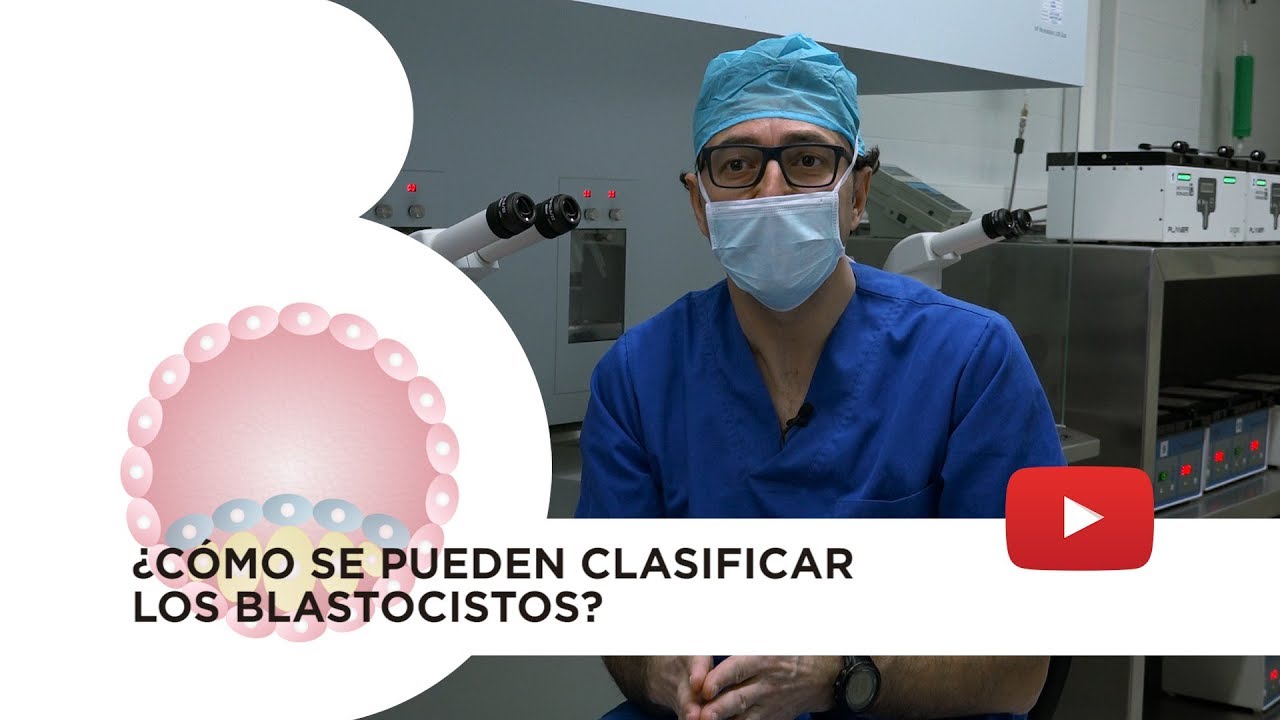 Watch Embrión blastocisto: tipos y clasificación conforme su calidad Now Embrión blastocisto: tipos y clasificación conforme su calidad