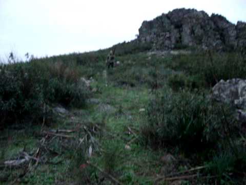 el pitu cazando un pajaro - mesas de ibor
