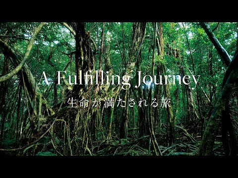 【屋久島】Relaxation : 島の自然に癒される旅 - A Fulfilling Journey 生命が満たされる旅