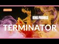 King Promise -  Terminator (Audio)  1 hour Loop