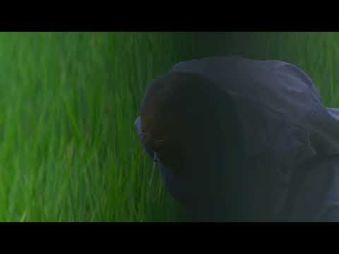빅 데이터의 축 The Axis of Big Data│프런티어 Frontier Competition│16TH DMZ Docs Trailer 예고편
