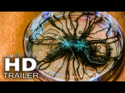 BEST UPCOMING MOVIES 2025 (New Trailers)