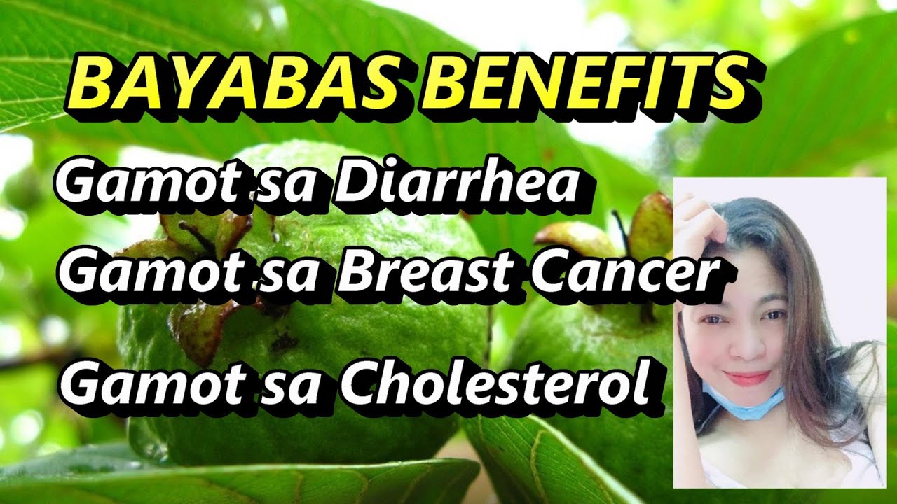 Putar video MGA BENEPISYO NG DAHON NG BAYABAS | HALAMAN GAMOT sekarang MGA BENEPISYO NG DAHON NG BAYABAS | HALAMAN GAMOT