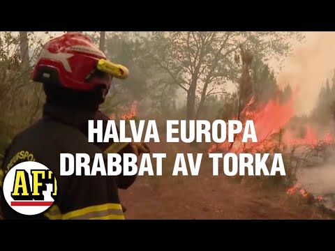 Halva Europa drabbat av torka