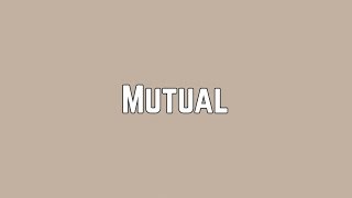 Shawn Mendes - Mutual (Lyrics)