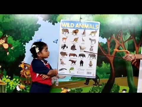 Ch.Ashritha | Wild Animals | Rise Play School | Jagannaickpur, Kakinada.