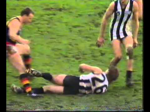 1991 AFL Season   Round 15   Adelaide Crows v Collingwood ; 4th quarter