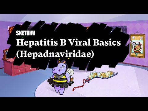 Hepatitis B Viral Basics (Hepadnaviridae) Part 1 | Sketchy Medical | USMLE Step 1