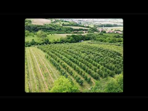 Beočin GRADSKO GRAĐEVINSKO ZEMLJISTE POVRŠINE 17 000 M2