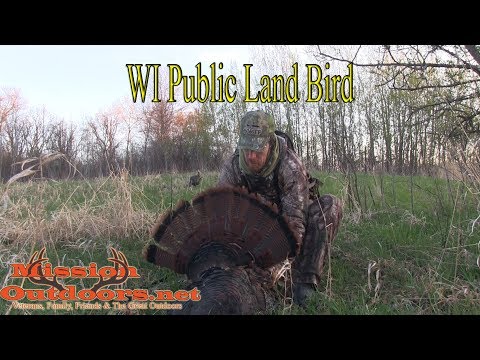 Turkey Hunting Wisconsin Public Land – Close-Call Gobbler at 5 Feet!