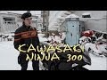 [Докатились!] Обзор kawasaki Ninja 300. Не то, чем кажется. 