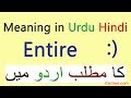 Entire meaning in Urdu | Online English to Hindi, Urdu translation lesson Entire meaning in Urdu | Online English to Hindi, Urdu translation lesson