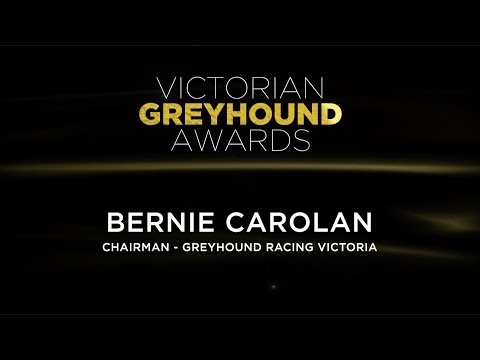 2015/16 Victorian Greyhound Awards: Bernie Carolan