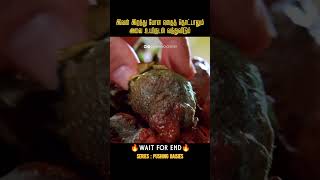 இவனால் இறந்தவர்களுக்கு உயிர்கொடுக்க முடியும் |Pushing Daisies|Movies explained in tamil