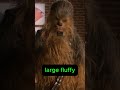 Star Wars' Furry Inspiration #shorts #starwars  #chewbacca  #moviefacts  #movie #film