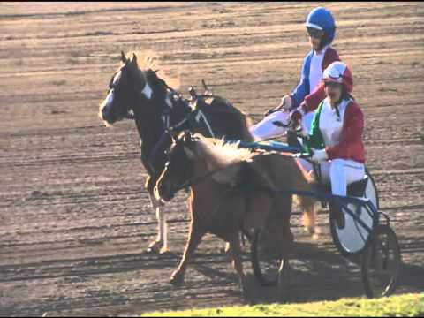 Trotto 30/04/2016 - Corsa Pony
