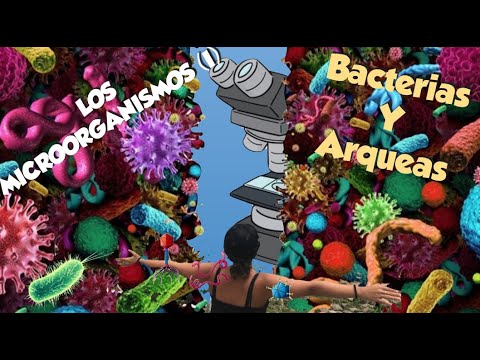 Microbiología (Parte I) - Introducción a la microbiología. Bacterias y Arqueas