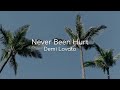 Never Been Hurt - Demi Lovato (lyrics)