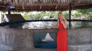 Curious Florida Keys!