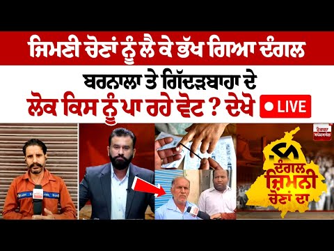 Punjab By Election 2024: Who are the people of Barnala and Gidderbaha voting for?