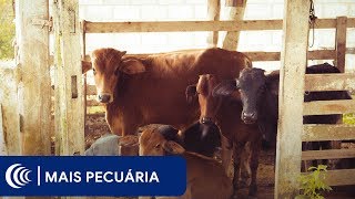 Miniatura do vídeo