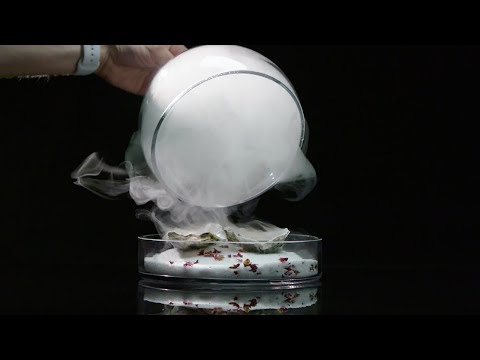 Smoking Gun Pro Techniques - Cloche