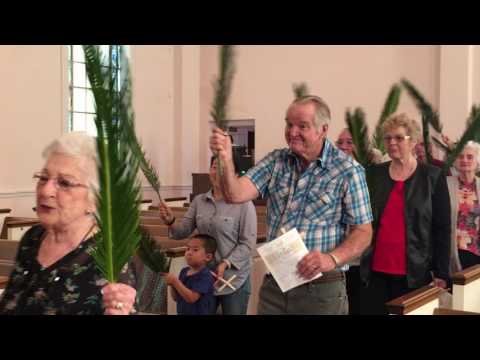 First Presbyterian Church of Lake Alfred Palm Processional 4/9/17