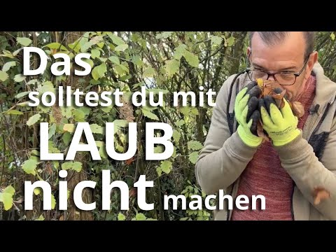 You should NOT do THAT with leaves!