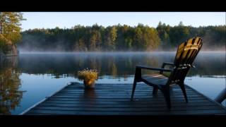 Gli alberi Music Video