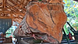 unexpected surprise of a giant redwood log full of dense and expensive fibers at the sawmill