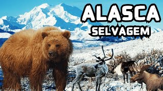 ALASCA SELVAGEM 4K ULTRA HD | 8 ANIMAIS SELVAGENS QUE VIVEM NO ALASCA (ESTADOS UNIDOS) DOCUMENTÁRIO
