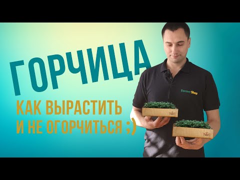 , title : 'Микрозелень горчицы: простое выращивание, виды и вкус'