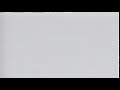 White Screen Of Death On My Ferngully The Last Rainforest 1992 VHS
