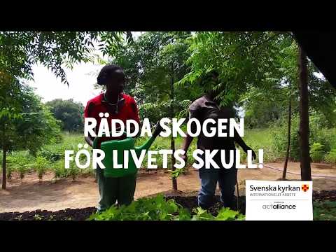 Rädda skogen för livet skull!