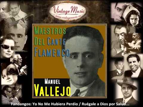 Manuel Vallejo - Fandangos: Yo No Me Hubiera Perdio / Ruégale a Dios por Salud (Flamenco Masters)