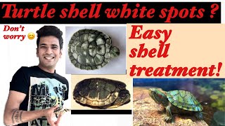 How to clean turtle shell | White spots on shell | shell Rot issue 🐢