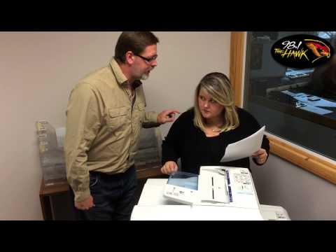 A Normal Day at the Hawk Studios