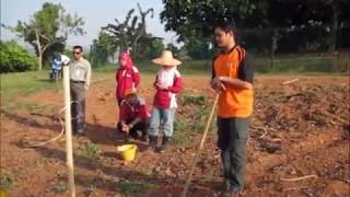 Cara Buat Lubang Tanaman Pokok Durian, Kelapa, Nangka dan Buah Lain | Kebun Bandar