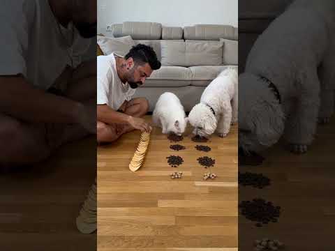 Yarisiyoruz #keşfet