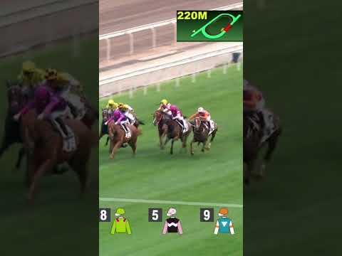 THE BEST PEACH K Teetan @racingshorts272