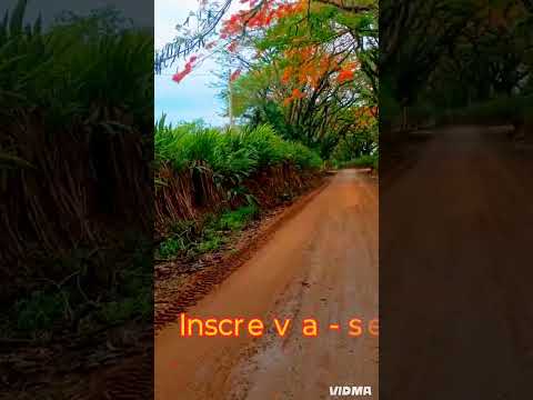Mogi Mirim SP