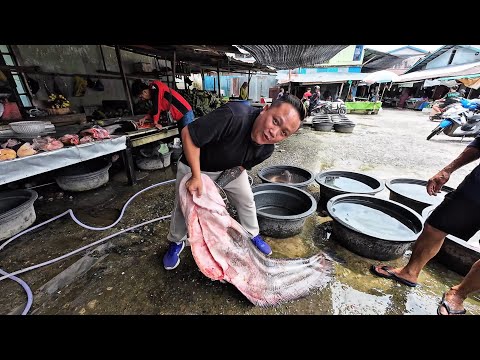 MARKET BASAH TERBESAR PUTUSSIBAU // IKAN TAPAH MONSTER 60KG DARI SUNGAI KAPUAS,KALIMANTAN // 