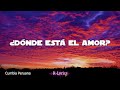 Dónde está el amor  - Internacional Mallanep (Lyrics)