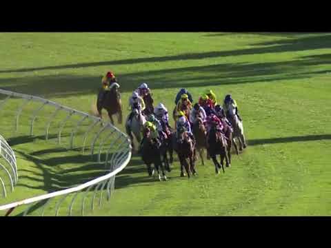 Spieth City Tattersals (1000mtrs).