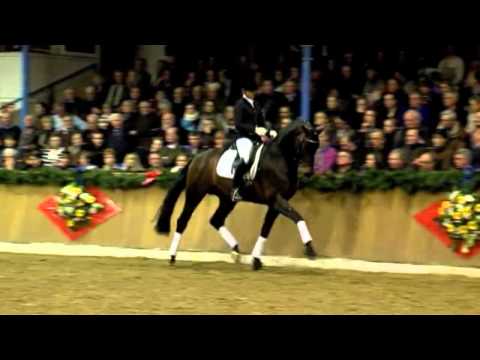 Franziskus - Hengstschau Sosath